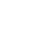 Safe Script