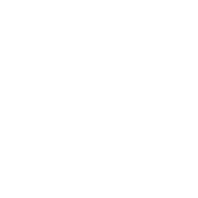 Editable Script